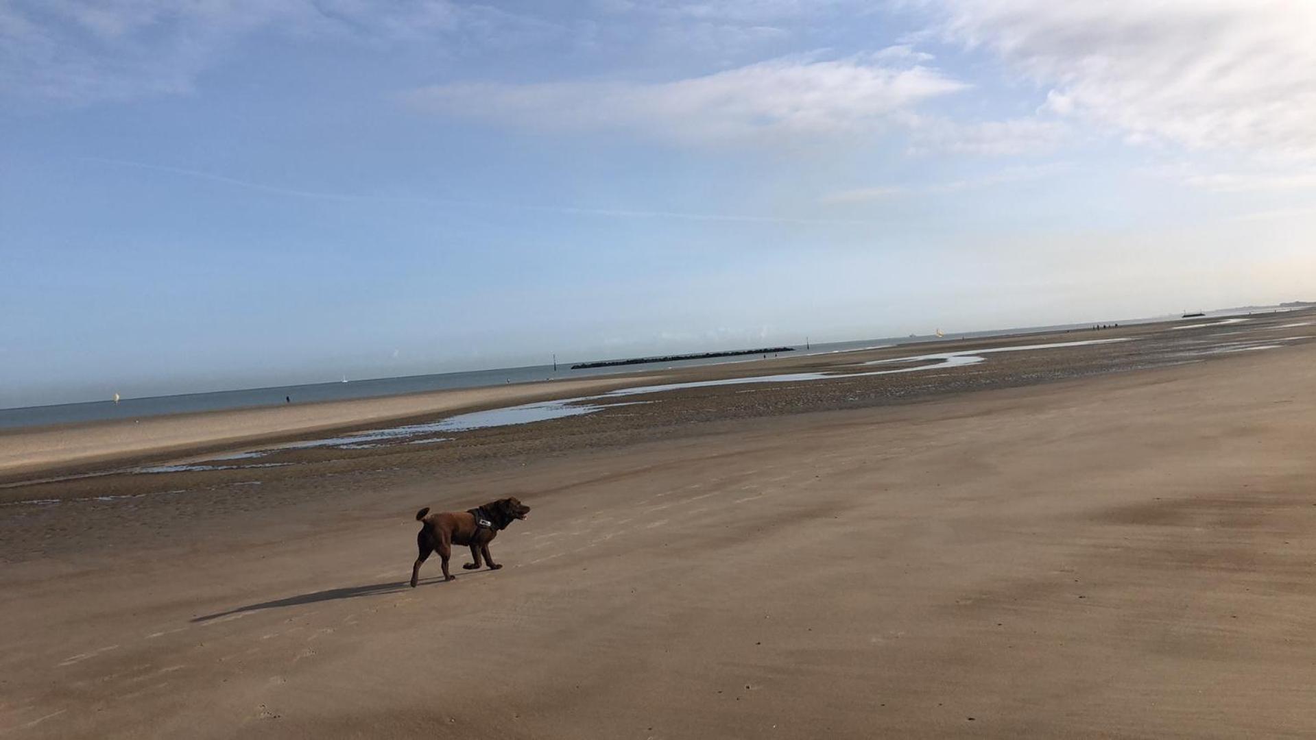 Appartement Sur La Plage De Malo Les Bains Vue Mer Dunkirk Esterno foto