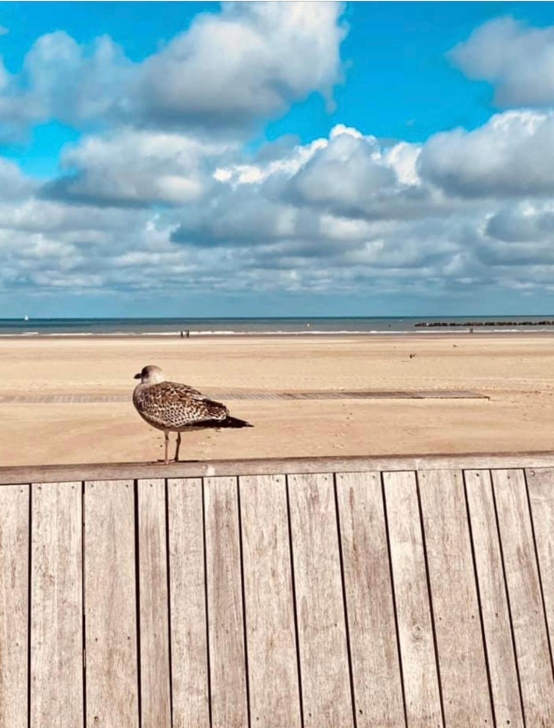 Appartement Sur La Plage De Malo Les Bains Vue Mer Dunkirk Esterno foto