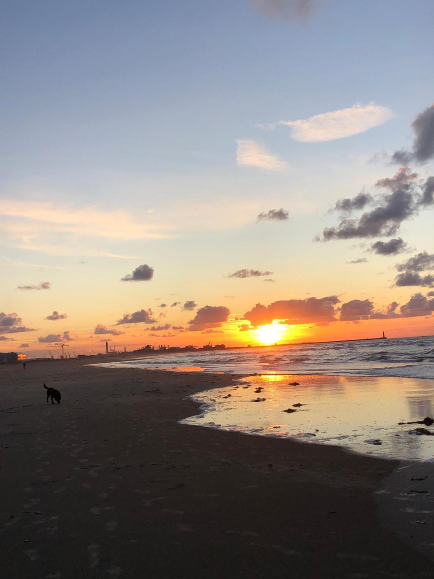 Appartement Sur La Plage De Malo Les Bains Vue Mer Dunkirk Esterno foto